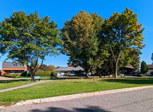 Vue sur le parc avec petits sentiers, arbres et bancs au loin, entourés de gazon.