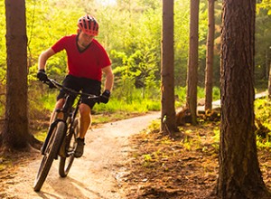 Cycliste en vélo de montagne dans un sentier en forêt.